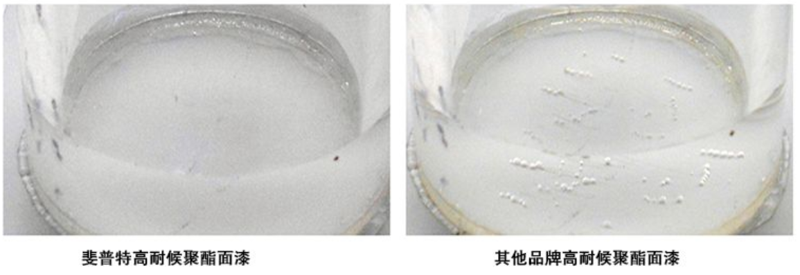 全年输尽光免费资料